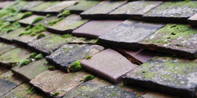 Butcombe roof repair costs